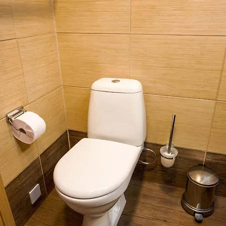 Agneta Apartamentai Druskieniki