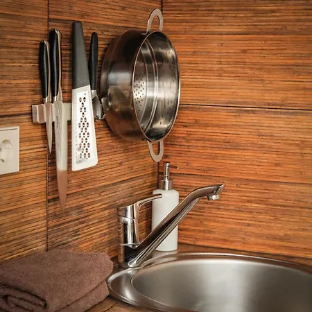 Agneta Apartamentai * Druskininkai