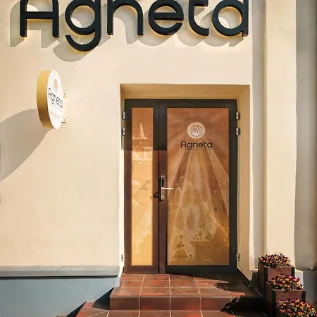 Agneta Apartamentai 3* Druskininkai