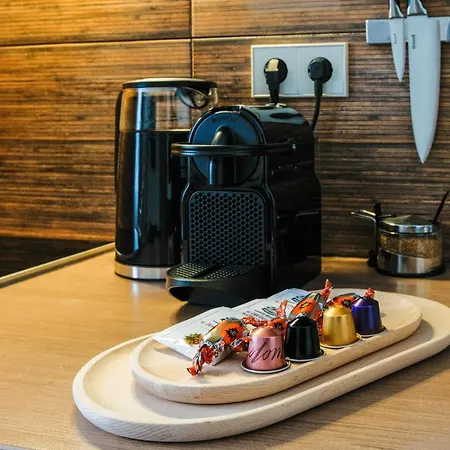 Agneta Apartamentai * Друскининкай