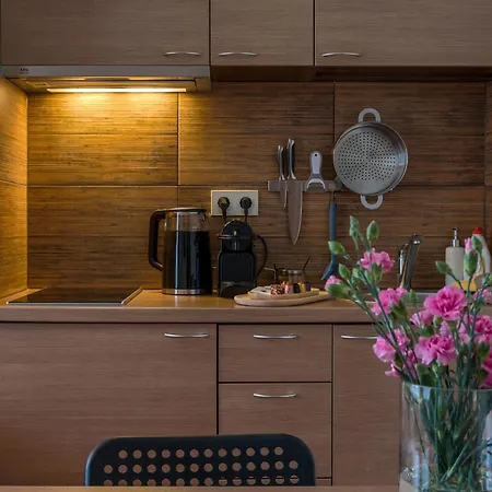 Agneta Apartamentai * Друскининкай
