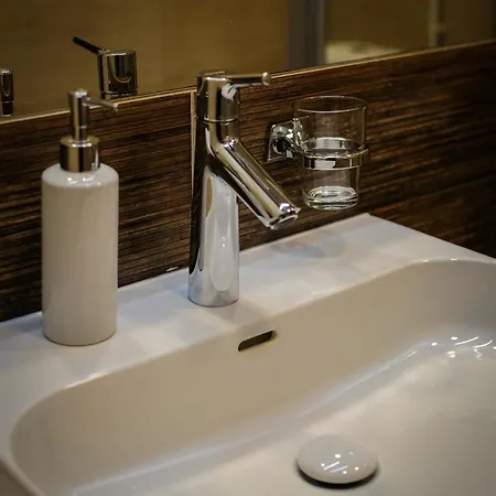 Agneta Apartamentai Druskieniki