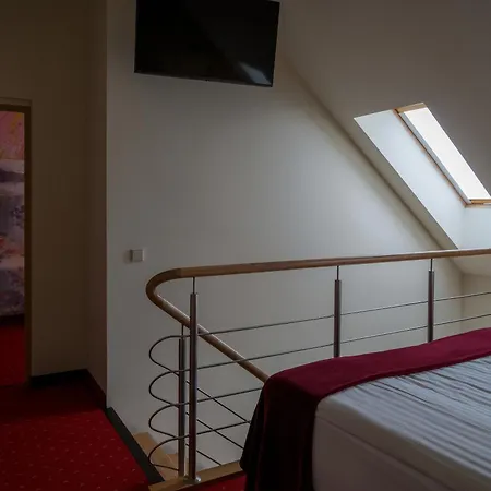 Agneta Apartamentai 4* Druskieniki