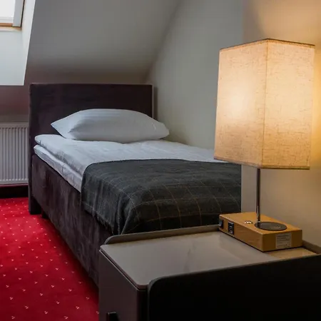 Agneta Apartamentai 3* Druskininkai