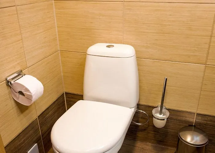 Agneta Apartamentai Druskininkai