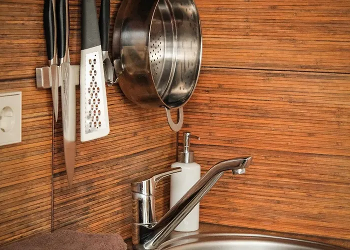 Agneta Apartamentai 4* Druskininkai