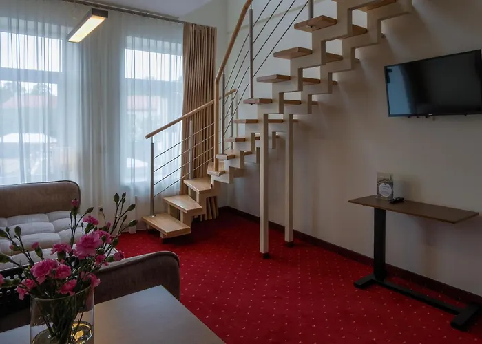 Agneta Apartamentai Druskininkai
