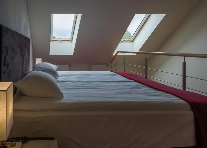 Aparthotel Agneta Apartamentai Druskininkai