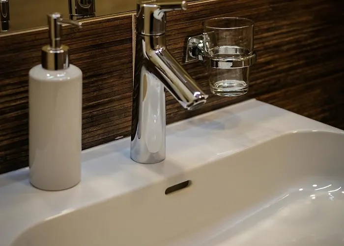 Agneta Apartamentai Druskininkai