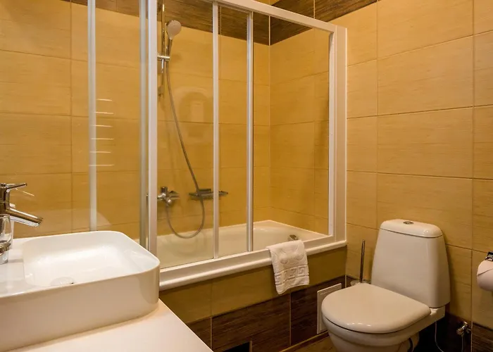 Agneta Apartamentai Druskininkai